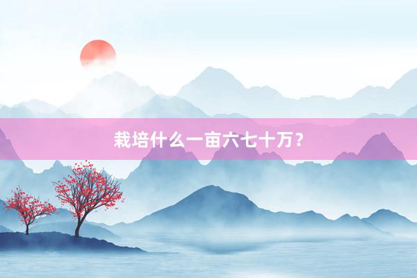 栽培什么一亩六七十万？
