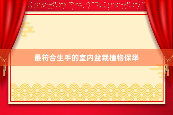 最符合生手的室内盆栽植物保举