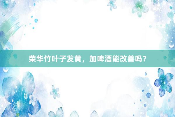 荣华竹叶子发黄，加啤酒能改善吗？